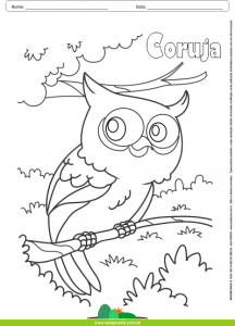 Desenhos para Colorir - Coruja
