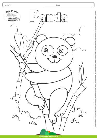 Desenhos para Colorir – Panda - Aula Pronta