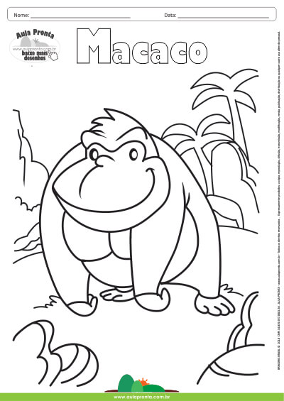 Desenho para Colorir – Animais - Macaco - Aula Pronta