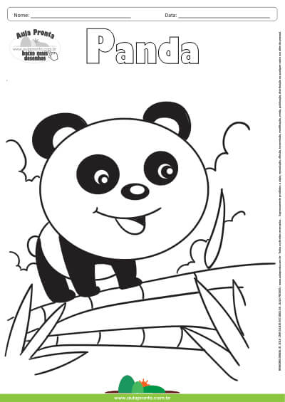 Desenho de pandas na selva para colorir