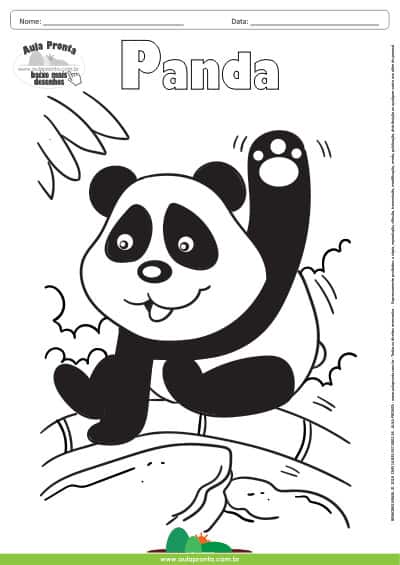 Desenho para Colorir – Animais - Panda - Aula Pronta