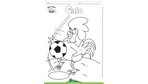 Desenho para Colorir – Animais - Galo
