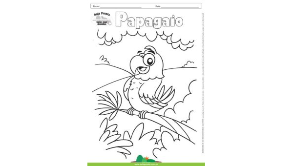 Desenho para Colorir – Animais - Papagaio