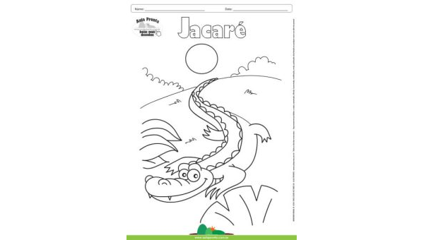 Desenho para Colorir – Animais - Jacaré