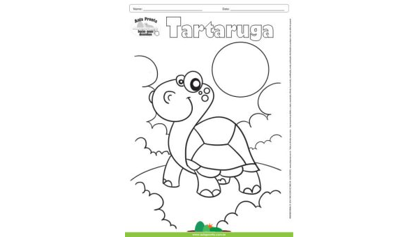 Desenho para Colorir – Animais - Tartaruga