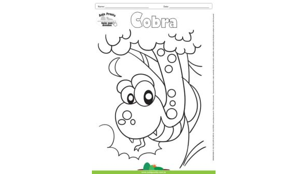 Desenho para Colorir – Animais - Cobra