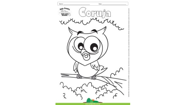 Desenho para Colorir – Animais - Coruja