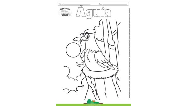 Desenho para Colorir – Animais - Águia