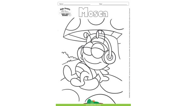Desenho para Colorir – Animais - Mosca