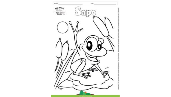 Desenho para Colorir – Animais - Sapo