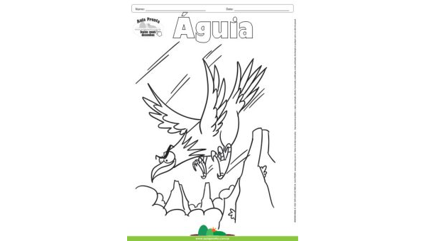 Desenho para Colorir – Animais - Águia