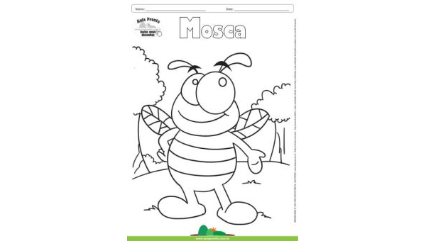 Desenho para Colorir – Animais - Mosca