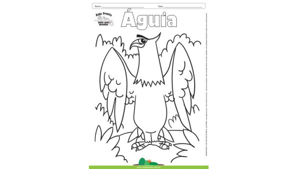 Desenho para Colorir – Animais - Águia
