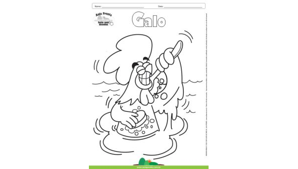 Desenho para Colorir – Animais - Galo