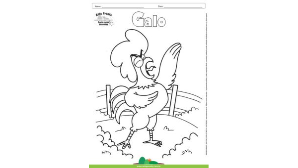 Desenho para Colorir – Animais - Galo