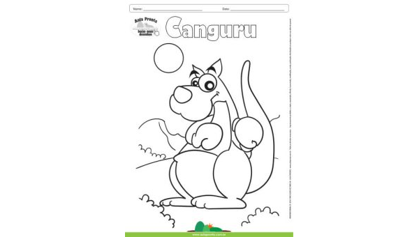 Desenho para Colorir – Animais - Canguru