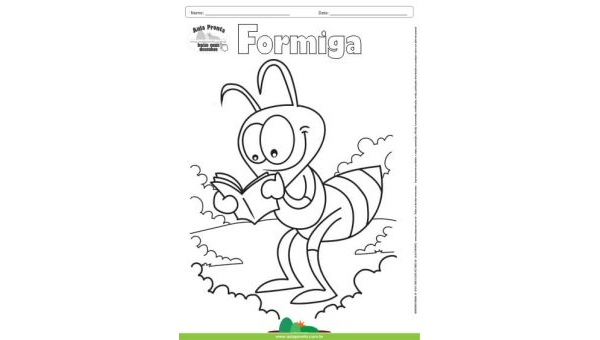 Desenho para Colorir – Animais - Formiga