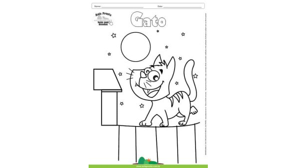 Desenho para Colorir – Animais - Gato