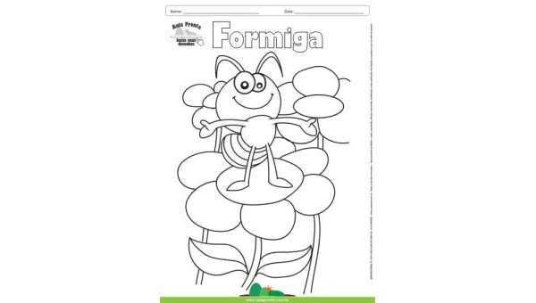 Desenho para Colorir – Animais - Formiga
