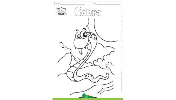 Desenho para Colorir – Animais - Cobra