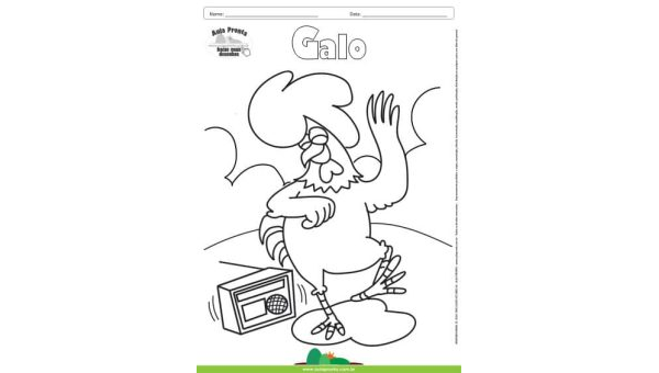 Desenho para Colorir – Animais - Galo