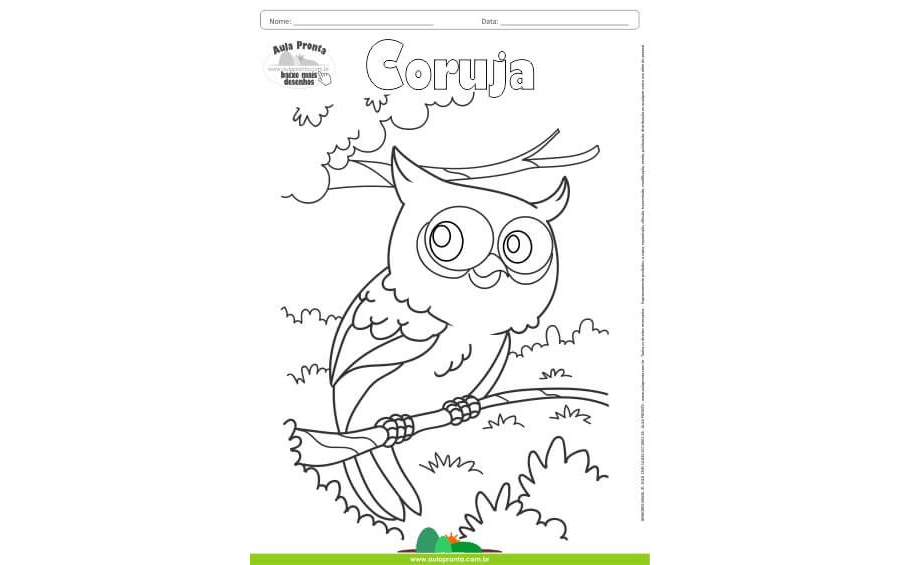 Desenhos para Colorir - Coruja