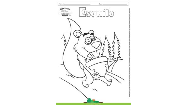 Desenho para Colorir – Animais - Esquilo