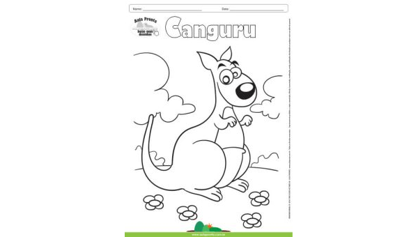 Desenho para Colorir – Animais - Canguru