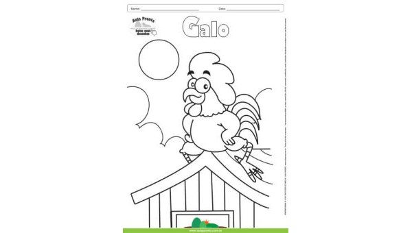 Desenho para Colorir – Animais - Galo
