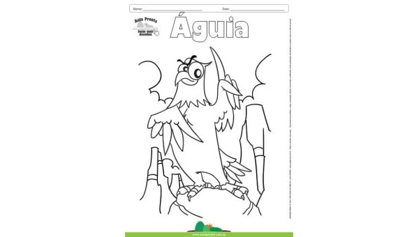 Desenho para Colorir – Animais - Águia