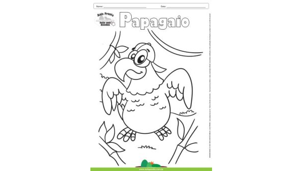 Desenho para Colorir – Animais - Papagaio