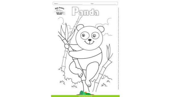 Desenhos para Colorir – Panda