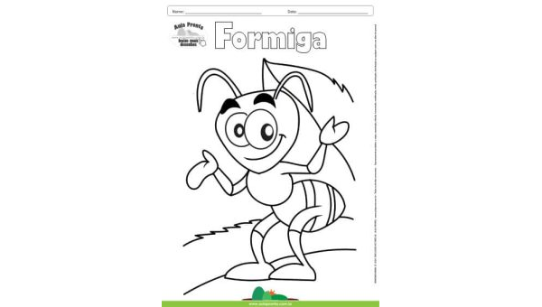 Desenho para Colorir – Animais - Formiga