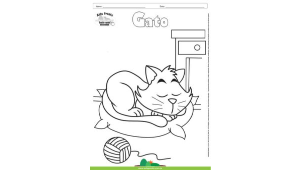 Desenho para Colorir – Animais - Gato