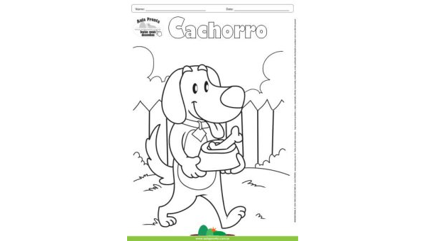 Desenho para Colorir – Animais - Cachorro