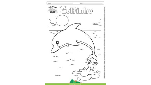 Desenho para Colorir – Animais - Golfinho