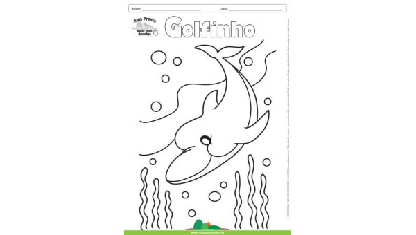 Desenho para Colorir – Animais - Golfinho