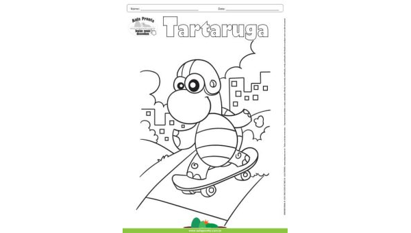 Desenho para Colorir – Animais - Tartaruga