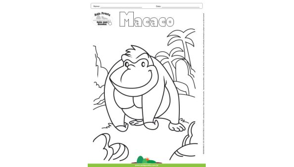 Desenho para Colorir – Animais - Macaco