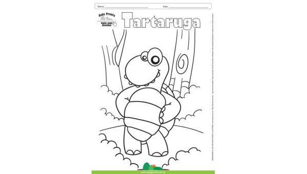 Desenho para Colorir – Animais - Tartaruga