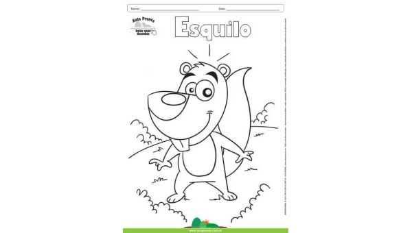 Desenho para Colorir – Animais - Esquilo