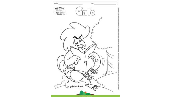 Desenho para Colorir – Animais - Galo