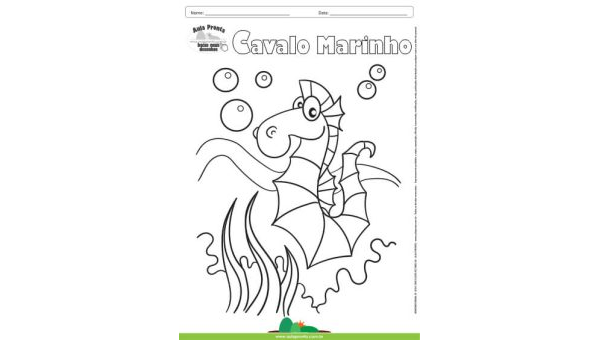 Desenho para Colorir – Animais - Cavalo Marinho