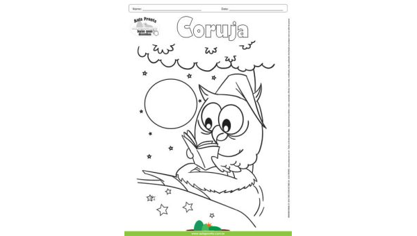 Desenho para Colorir – Animais - Coruja