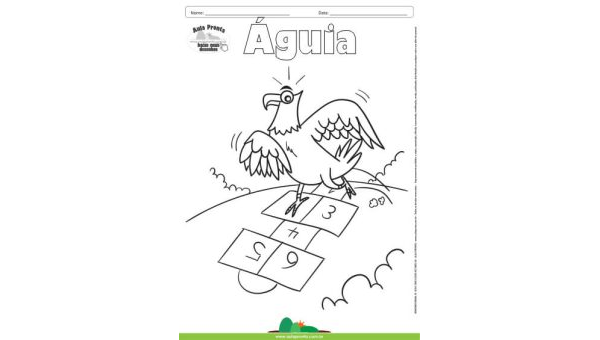 Desenho para Colorir – Animais - Águia