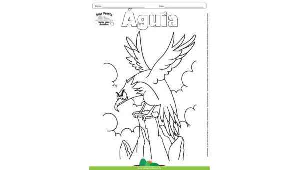 Desenho para Colorir – Animais - Águia