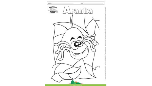 Desenho para Colorir – Animais - Aranha