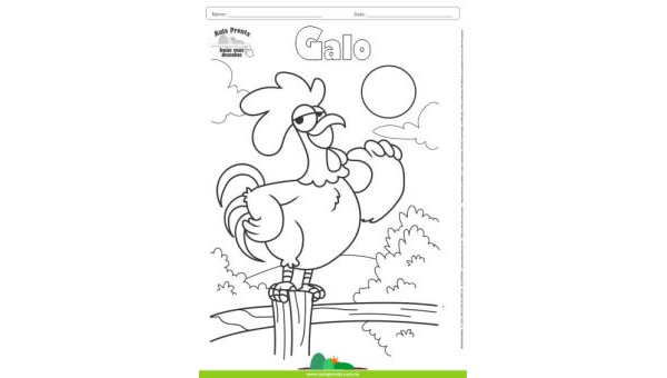 Desenhos para Colorir - O Galo