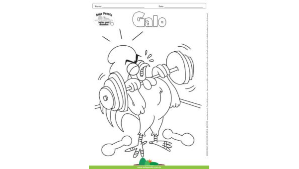 Desenho para Colorir – Animais - Galo