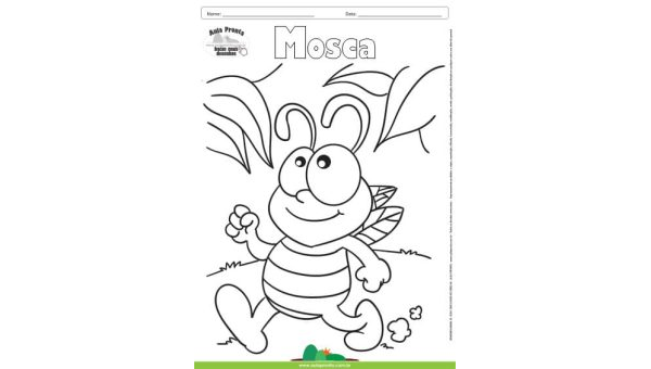 Desenho para Colorir – Animais - Mosca
